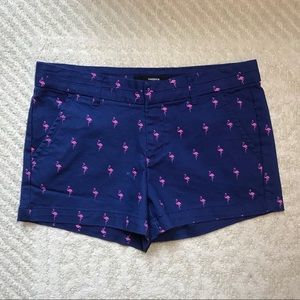 Pink Flamingo Printed Navy Blue Harper Shorts